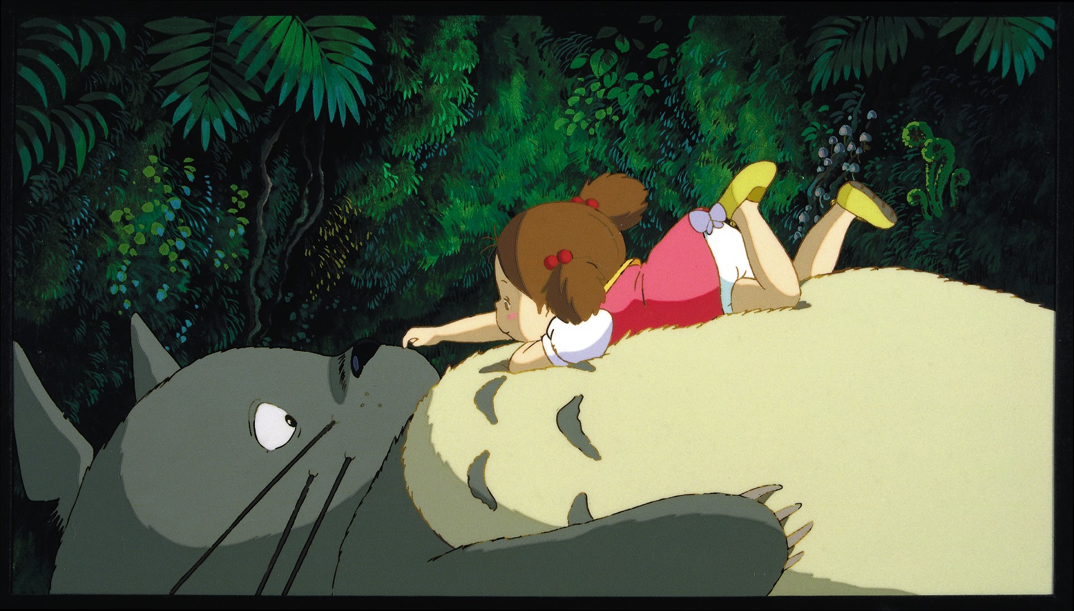 totoro 1