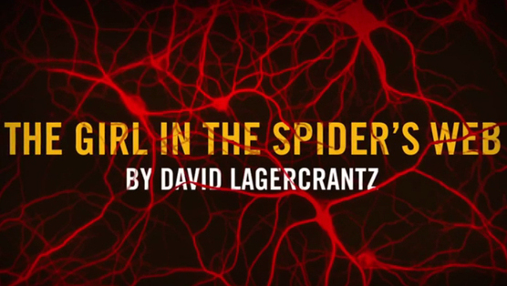girl spider’s web