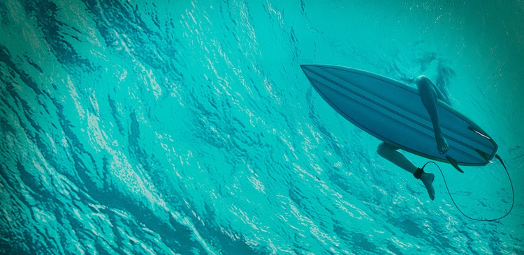 The Shallows