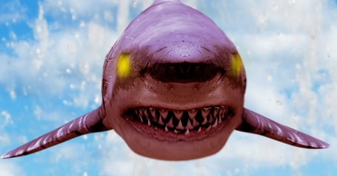 shark exorcist