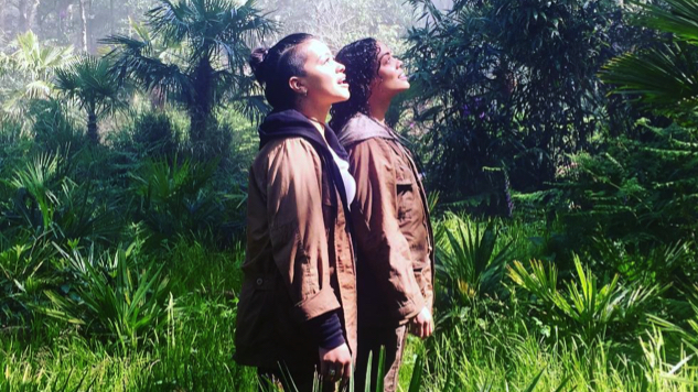 Annihilation garland set