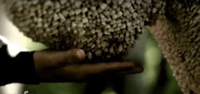 Channel Zero: Candle Cove