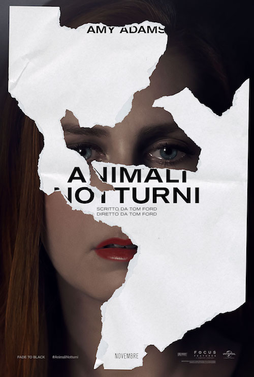 animali-notturni-2