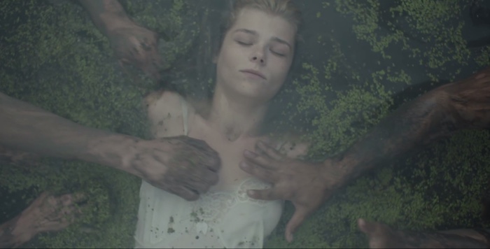 when-the-trees-fall