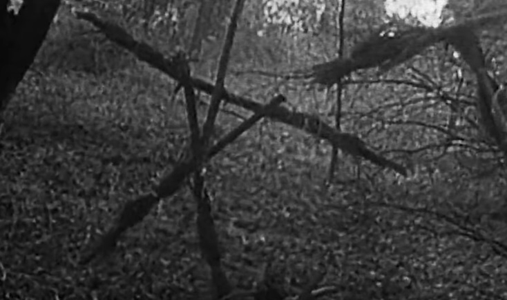 blair witch project film