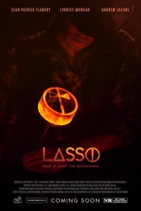 Lasso poster