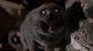 pet sematary king