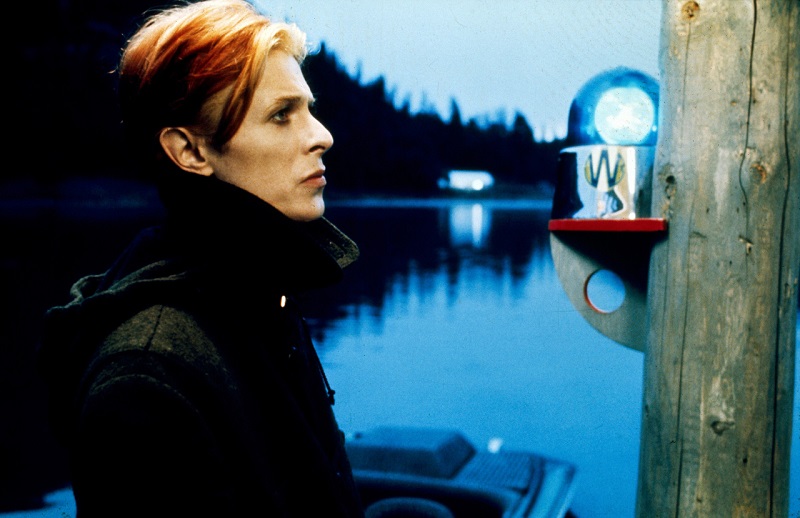 david bowie uomo cadde terra