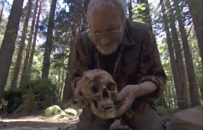 Campfire Creepers (2017) englund