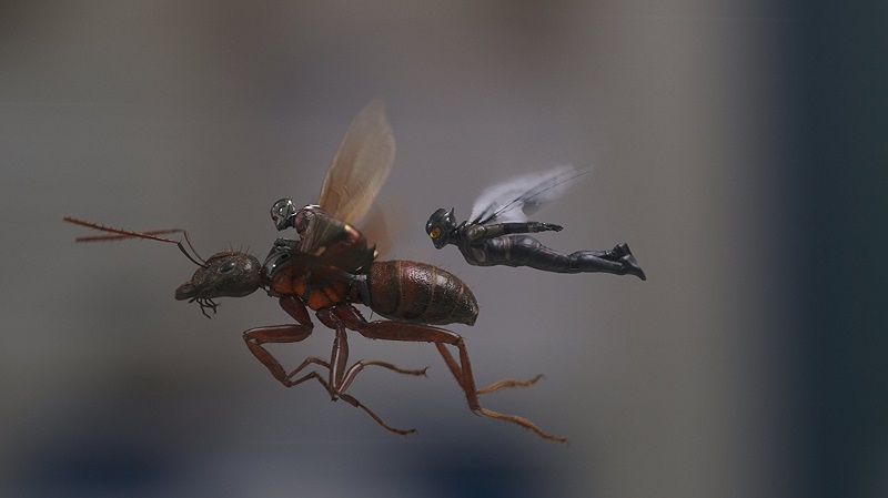 Ant-Man and the Wasp 2018 film