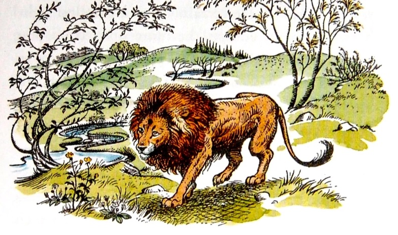 cronache di narnia lewis libro aslan
