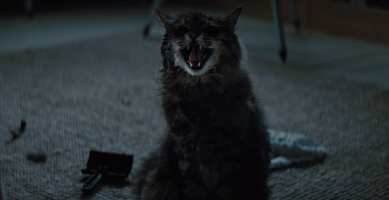 pet sematary 2019 Dennis Widmyer e Kevin Kölsch film