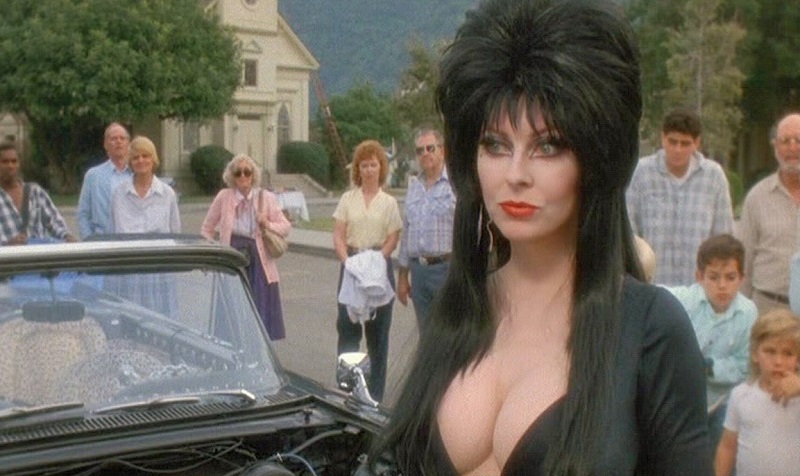 Una strega chiamata Elvira (1988)