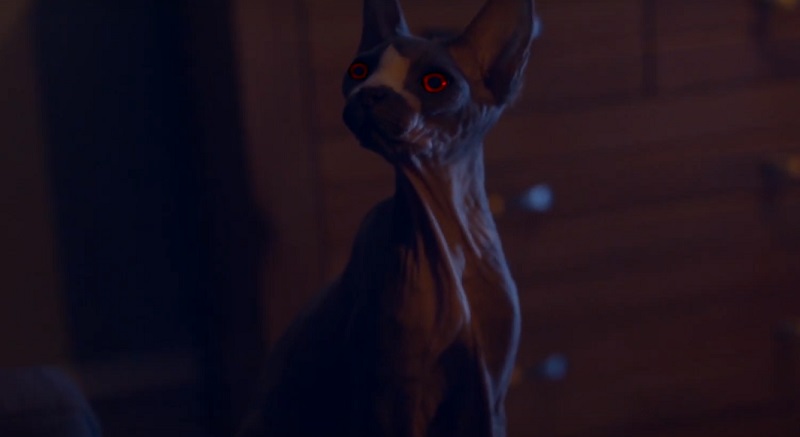 Pet Graveyard film 2019 Pet Graveyard film 2019
