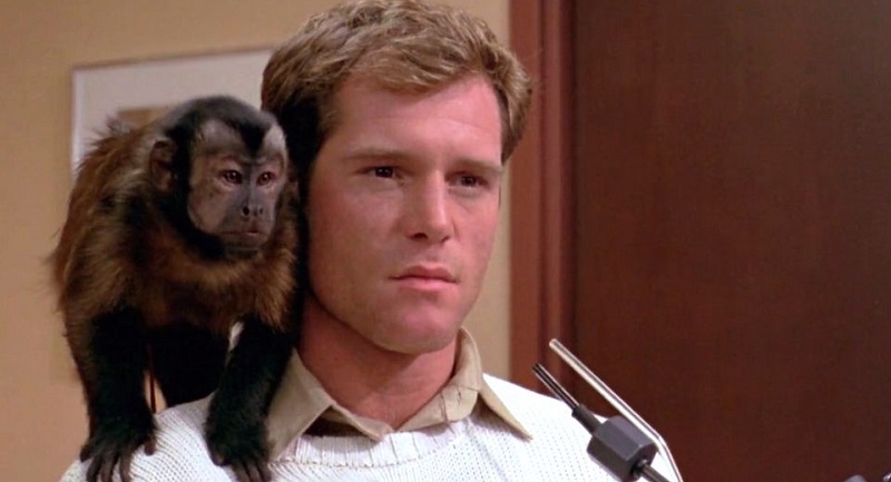 Jason Beghe and Boo in Monkey Shines (1988)