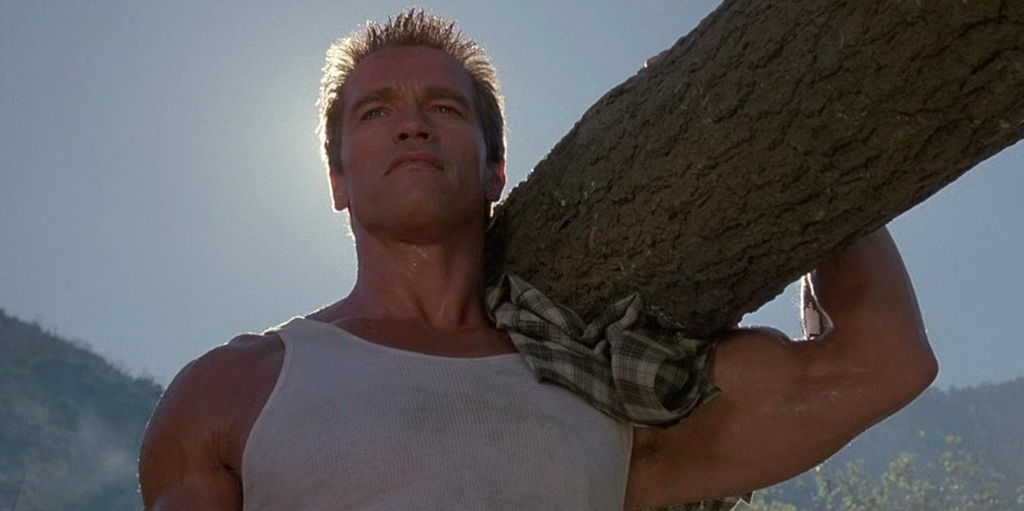Arnold Schwarzenegger in Commando (1985) Arnold Schwarzenegger in Commando (1985)