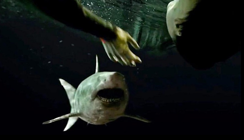 47 Metri: Uncaged | La recensione del film di squali di Johannes Roberts 47 meters down uncaged film