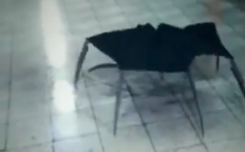 Patiffonka video ormbrello horror Patiffonka video ormbrello horror
