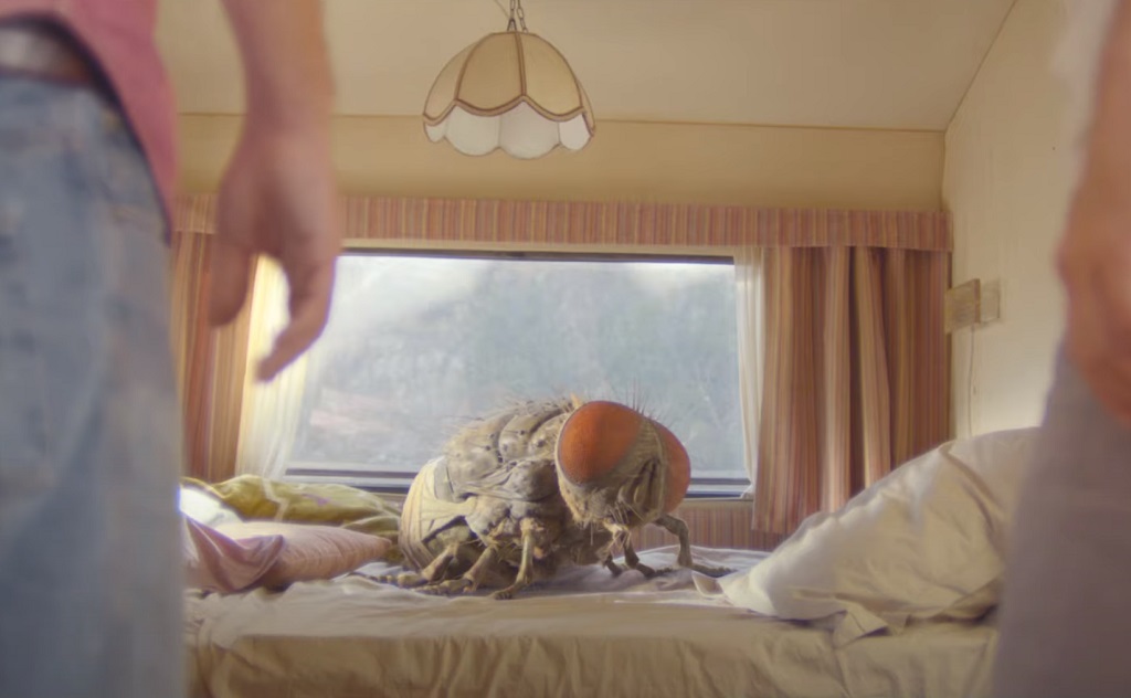 Trailer per Mandibules: c’è una mosca gigante da ammaestrare nel film di Quentin Dupieux mandibules film 2020 quentin dupieux