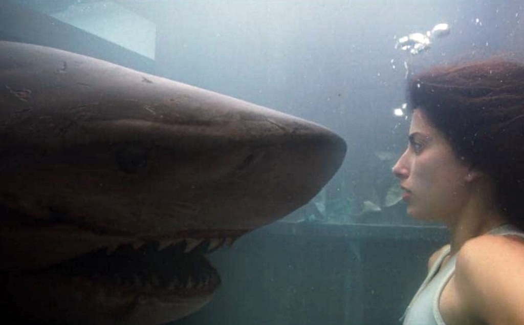 Blu Profondo 3 | La recensione del film di squali di John Pogue blu profondo 3 film