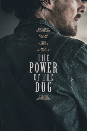 il potere del cane film 2021 poster