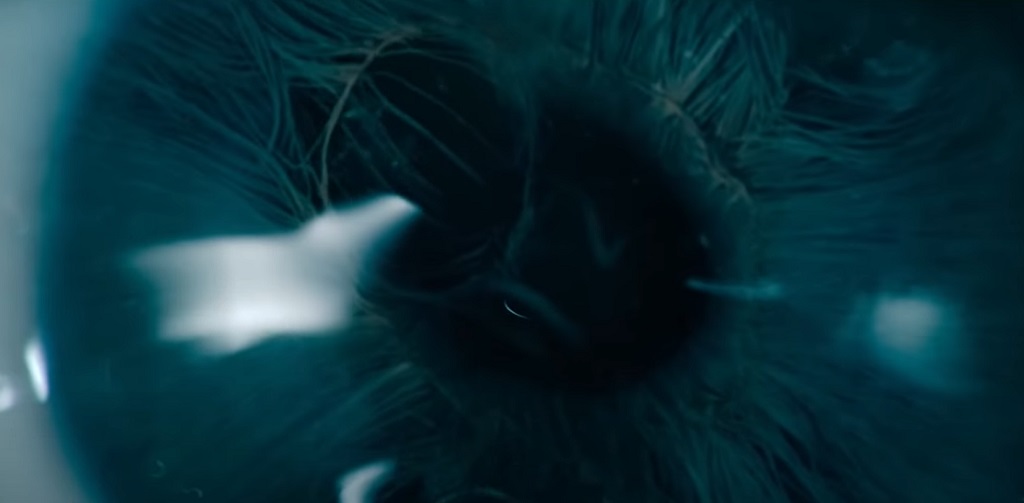 Teaser per Encounter (film Amazon): una misteriosa minaccia aliena per Riz Ahmed encounter film 2021 amazon