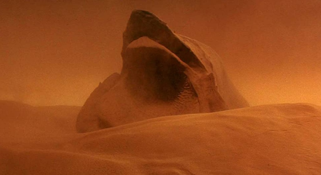 dune 1984 verme