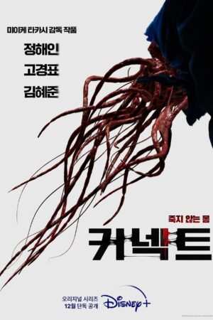 connect serie corea 2022 miike poster