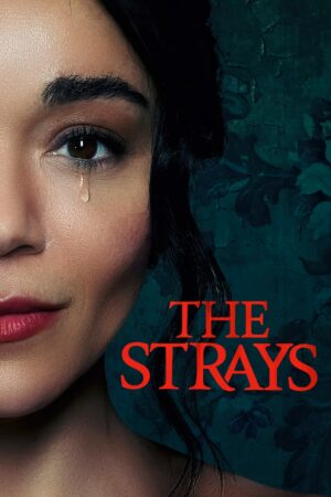 the strays film poster 2023