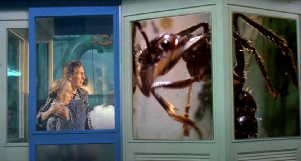 L'impero delle termiti giganti (1977) film