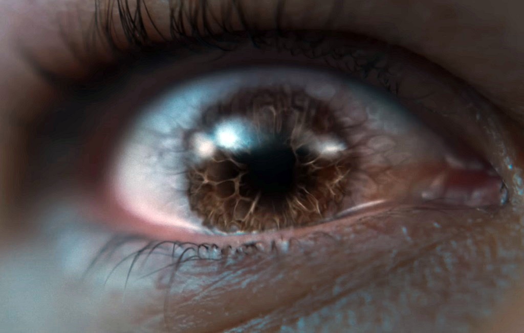 Full trailer per Bird Box: Barcellona (film Netflix), se vuoi vivere non devi vedere Bird Box Barcellona film 2023