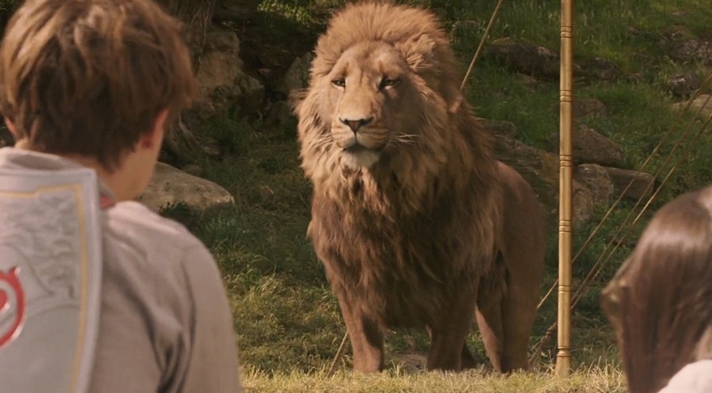 narnia leone film narnia leone film