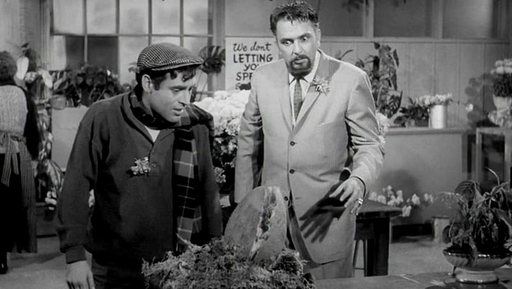 la piccola bottega degli orrori film 1960 la piccola bottega degli orrori film 1960