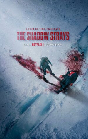 The Shadow Strays (2024) film poster
