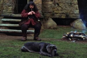 Robbie Coltrane in Harry Potter e la pietra filosofale (2001)