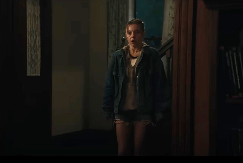 Echo Valley (2025) film sweeney