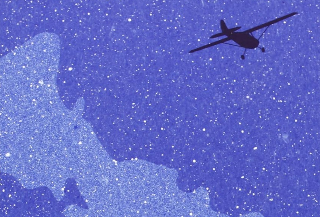 le stelle del cane libro