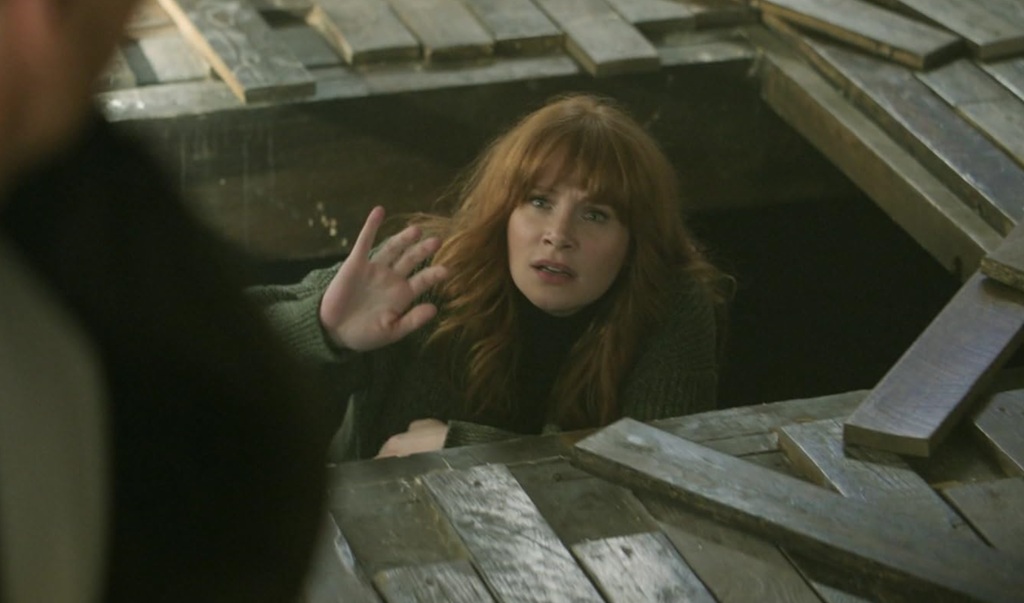 Bryce Dallas Howard in Argylle La super spia (2024)