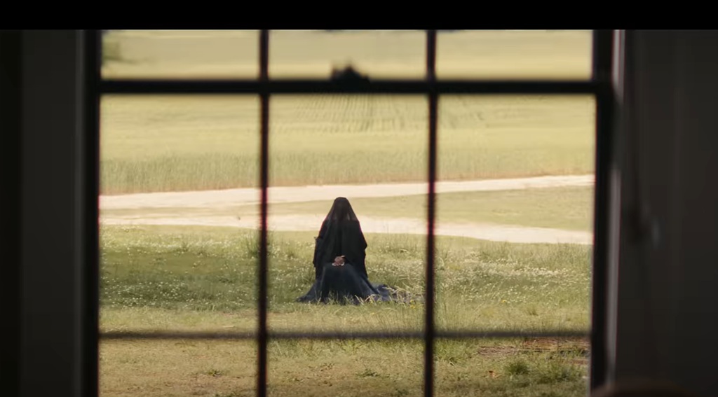 the woman in the yard film 2025