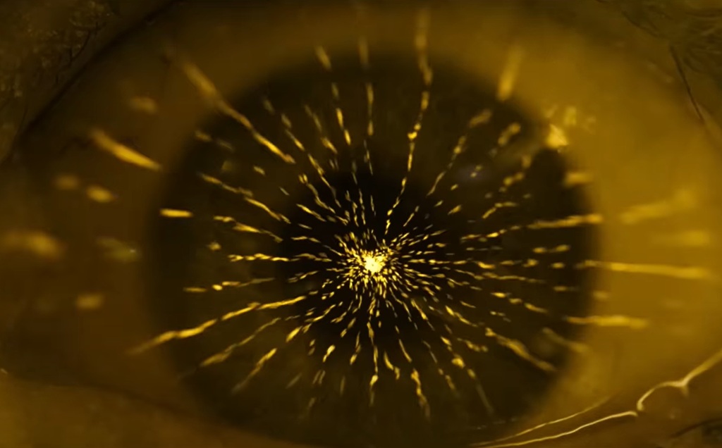 xeno film 2025