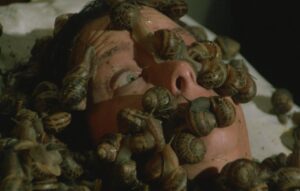 aenigma film fulci lumache