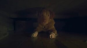 good boy film 2025