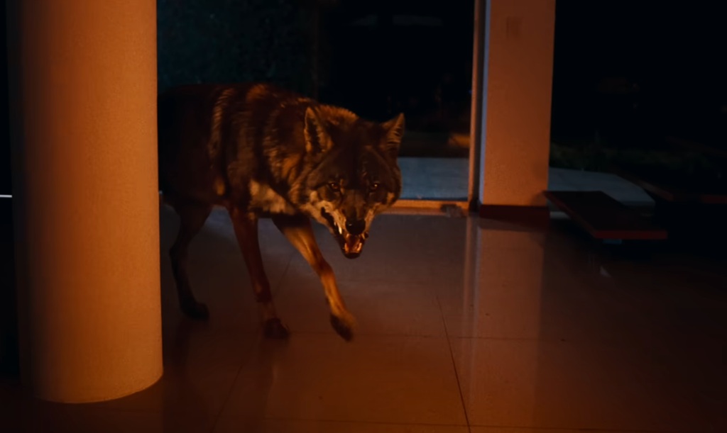 coyotes film horror 2025