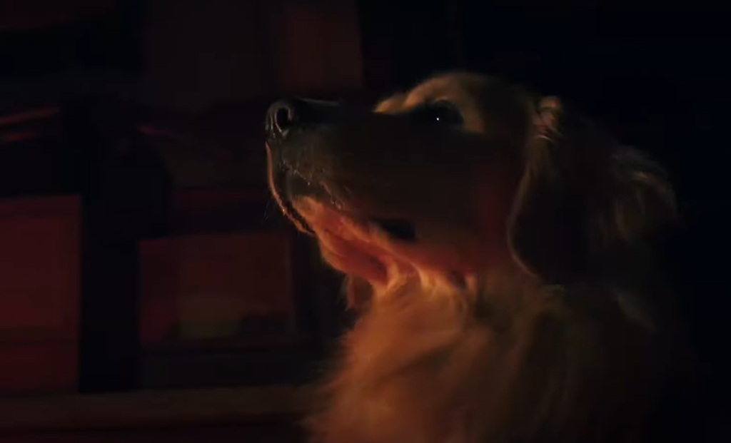 good boy film horror 2025