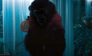 ben rabbia animale film 2026