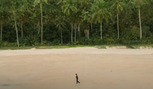 send help film sam raimi