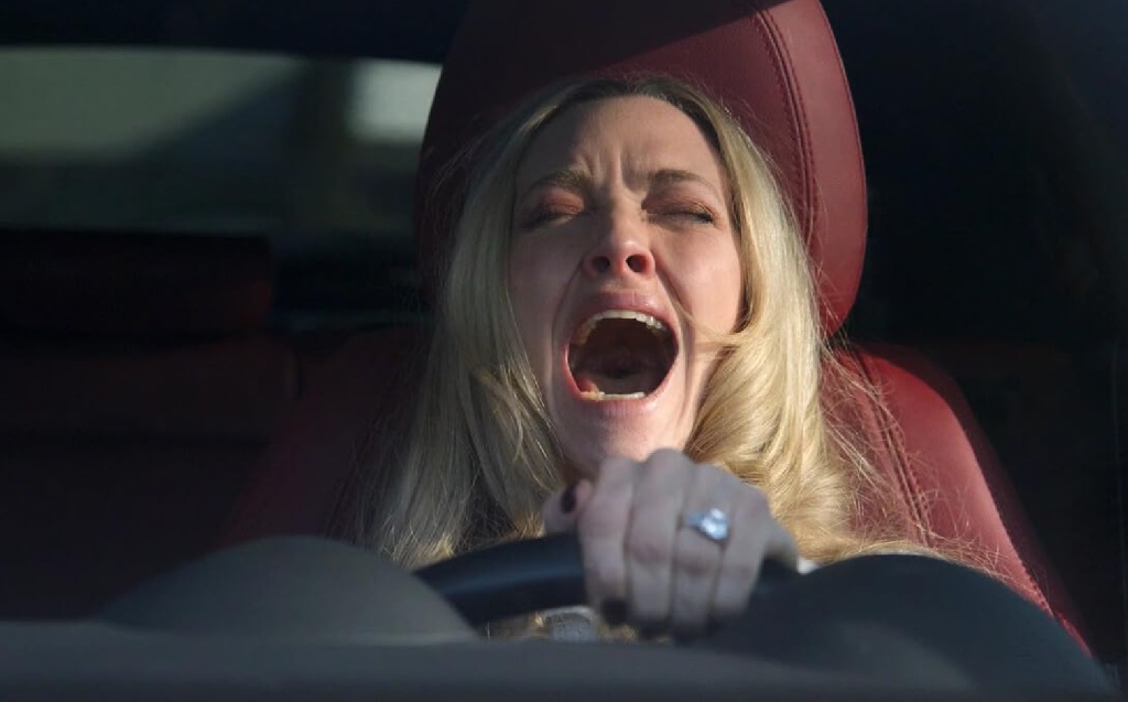 Amanda Seyfried in Una di famiglia (2025)