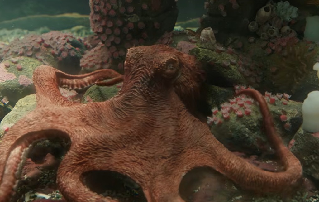 creature luminose film 2026 netflix