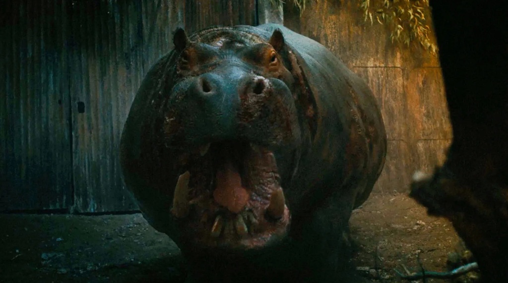 hungry film 2026 ippopotamo horror