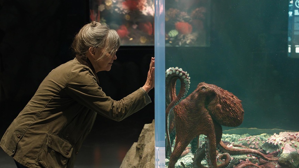 Sally Field film Creature luminose (2026)